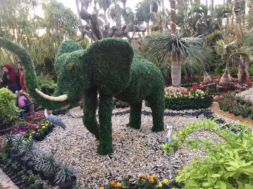 Vast Plant Collections