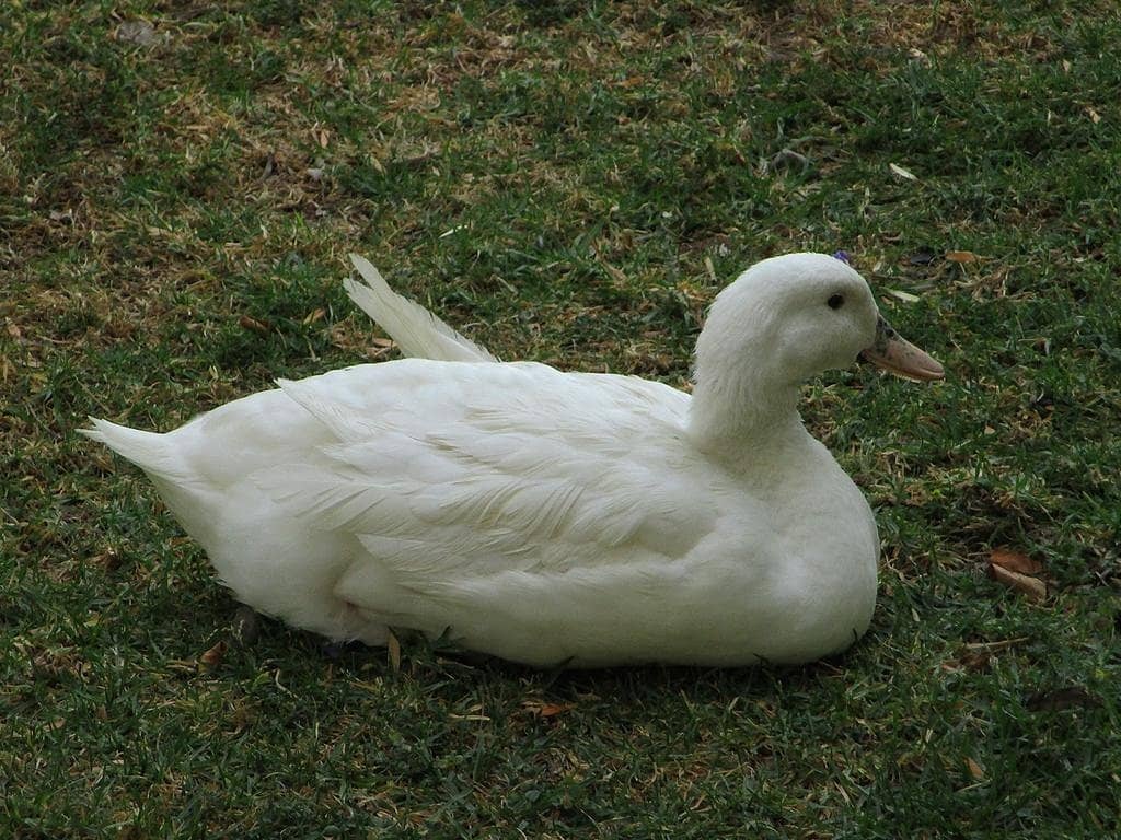 Miniature World Wonders