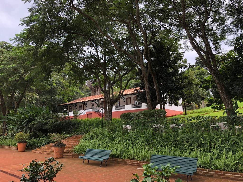 Greenery and Tranquility