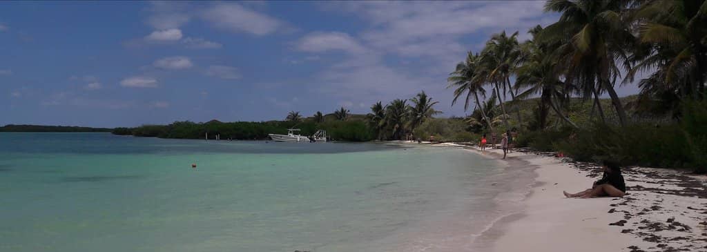 Birdwatcher's Paradise