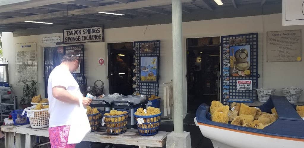 Authentic Greek Cuisine