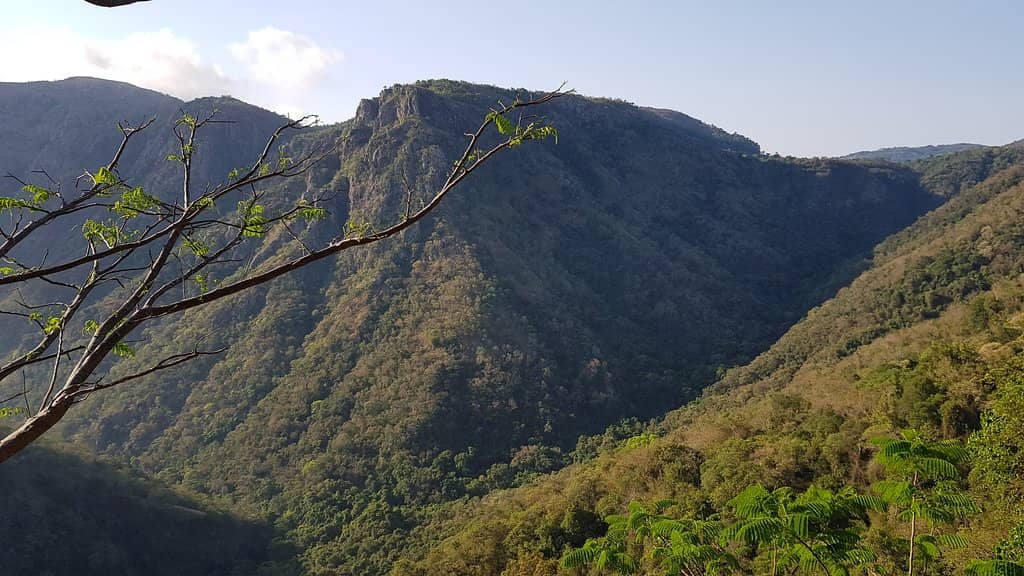 The 1000+ Steps Trek
