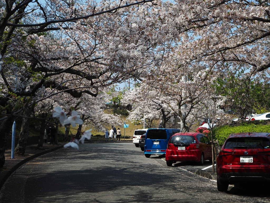 Photographer's Paradise