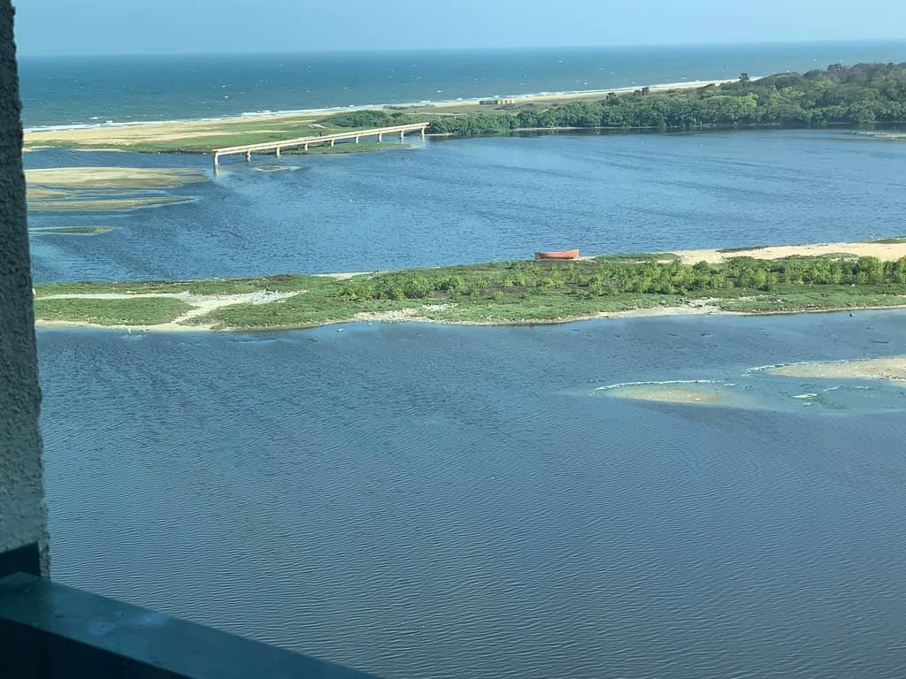 Adyar Estuary Mangrove Belt
