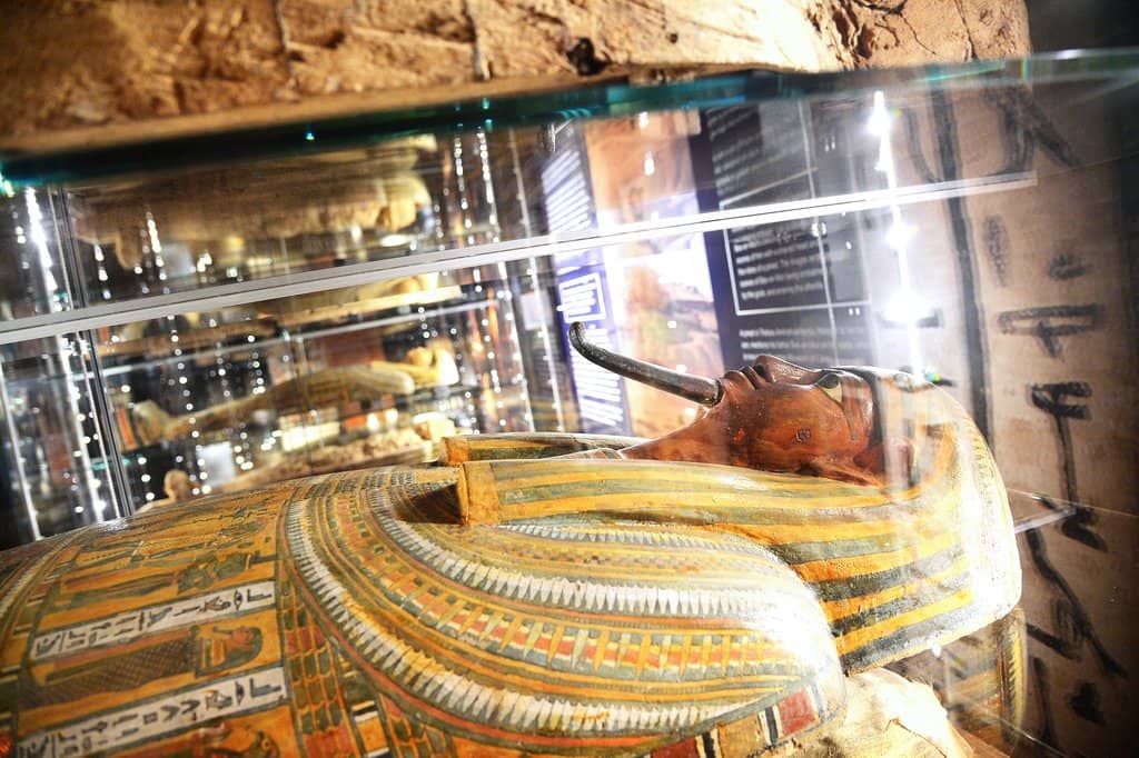 Ancient Egyptian Mummies