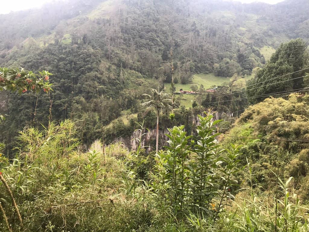 Nevado del Tolima Glimpse