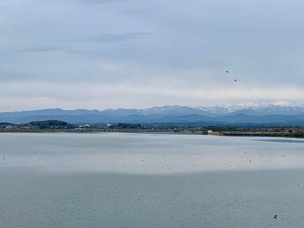 Lagoon Scenery