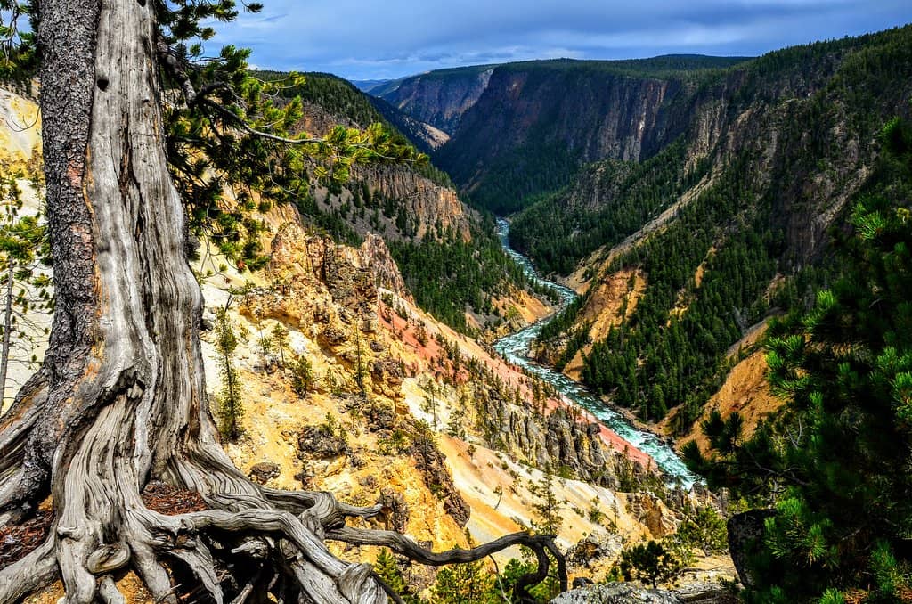 Peaceful Alternative to Tunnel View