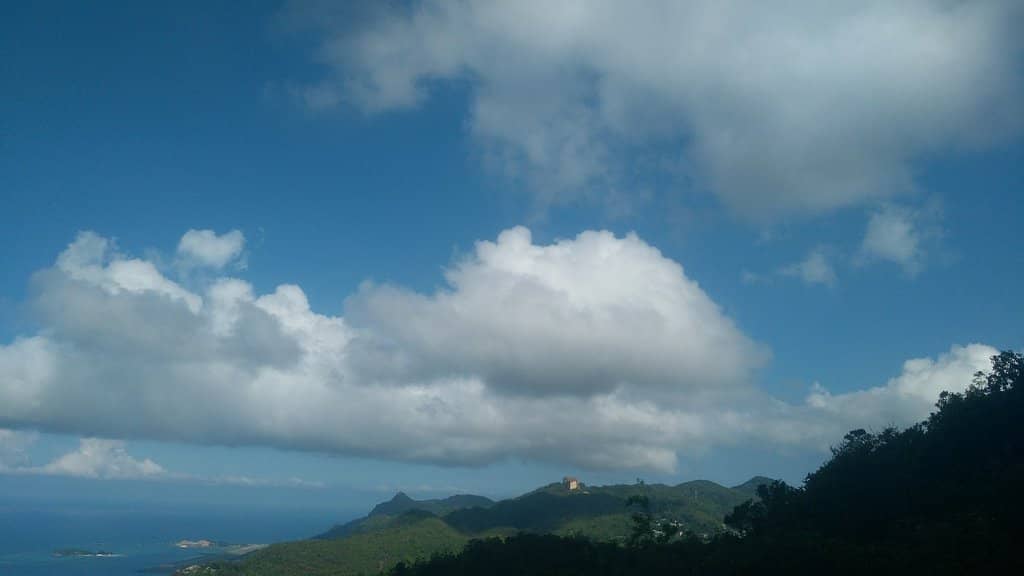 Vertical photo