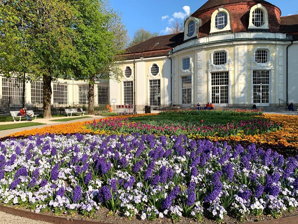 Vibrant Flower Displays