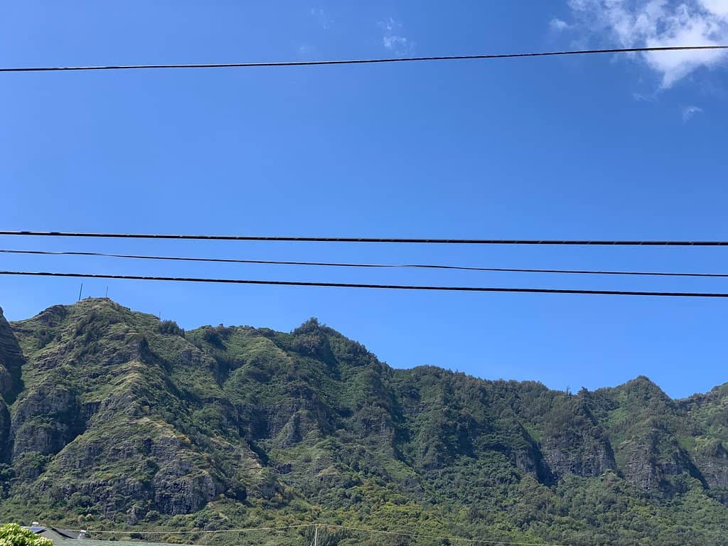 Vertical photo