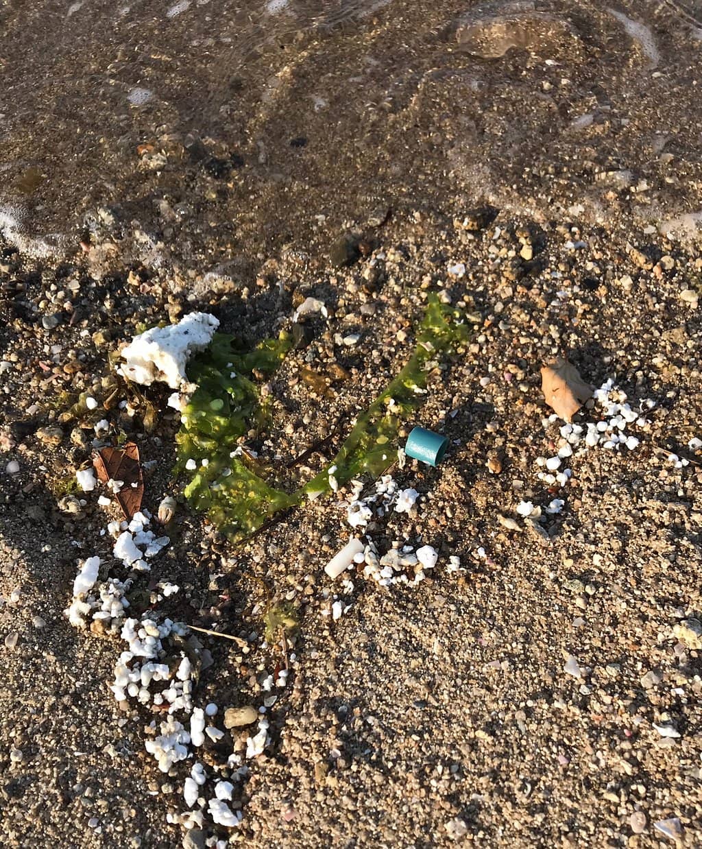Scenic Coastal Walk