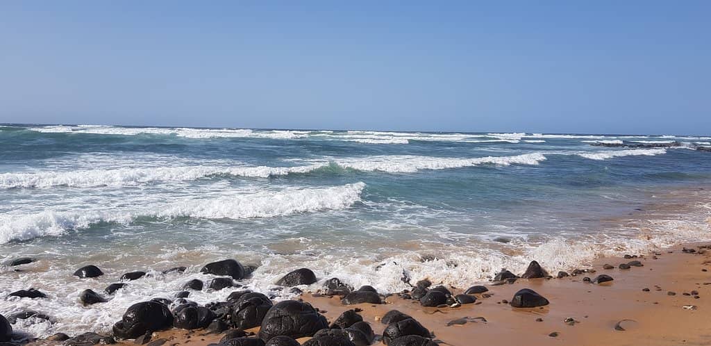 Local Beach Life