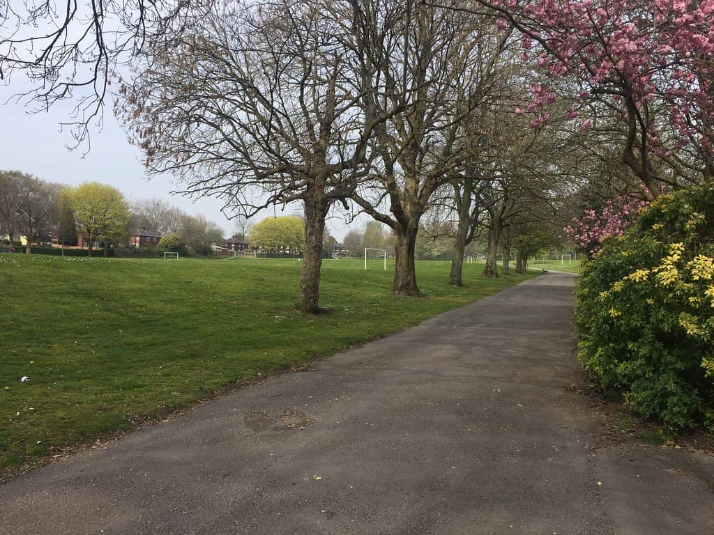 Junior Parkrun