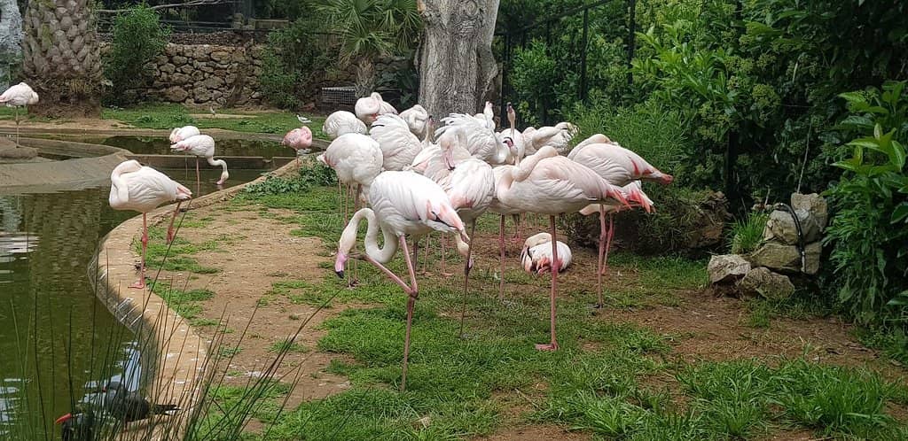 Herpetarium Adventure