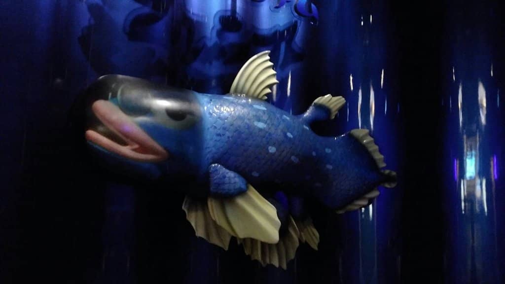 Unique Deep-Sea Invertebrates