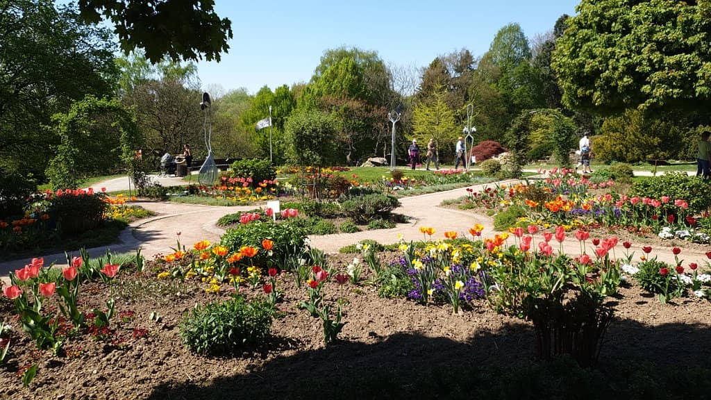 Seasonal Flower Displays