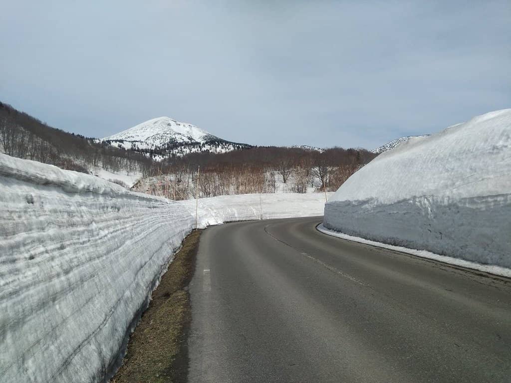 Scenic Drive