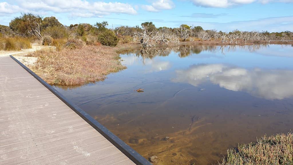 Erskine Estuary Boardwalks