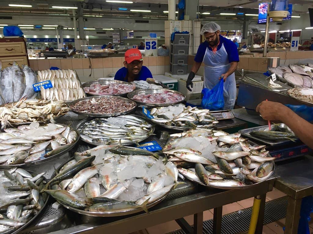The Fresh Catch