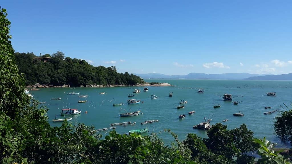 Praia da Aroeira (Praia da Julia)