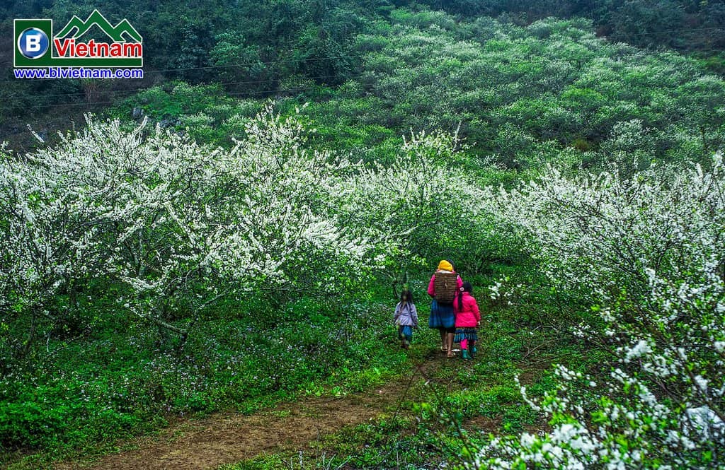 Ethnic Minority Gatherings