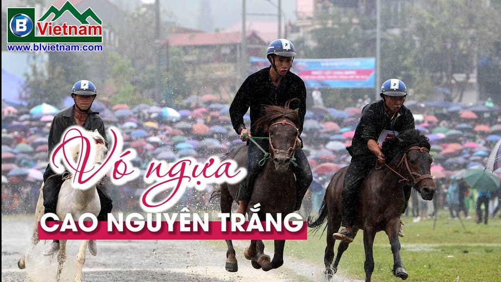 Local Produce and Crafts