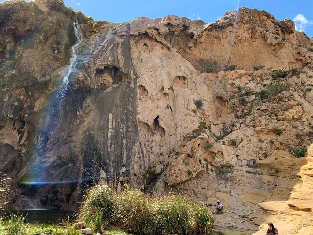 Picnic Shelters & Facilities