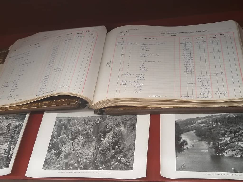 Regional Wine Education