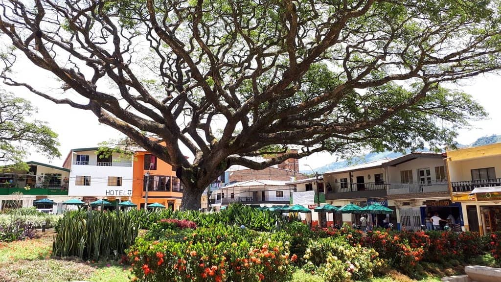 Parroquia Nuestra Señora del Carmen