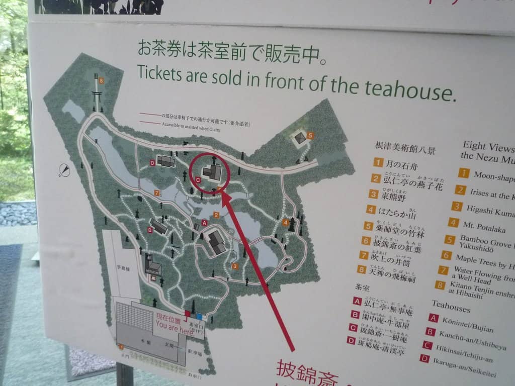 Ogata Korin's Irises