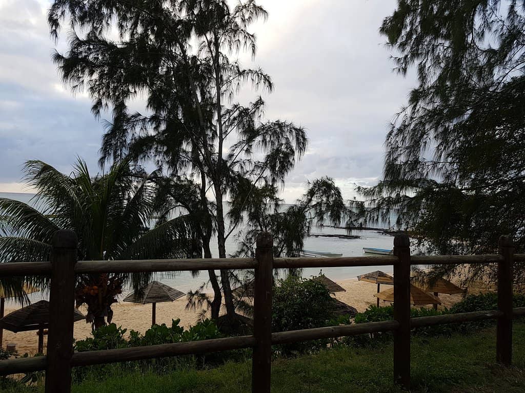 Vibrant Local Food Stalls