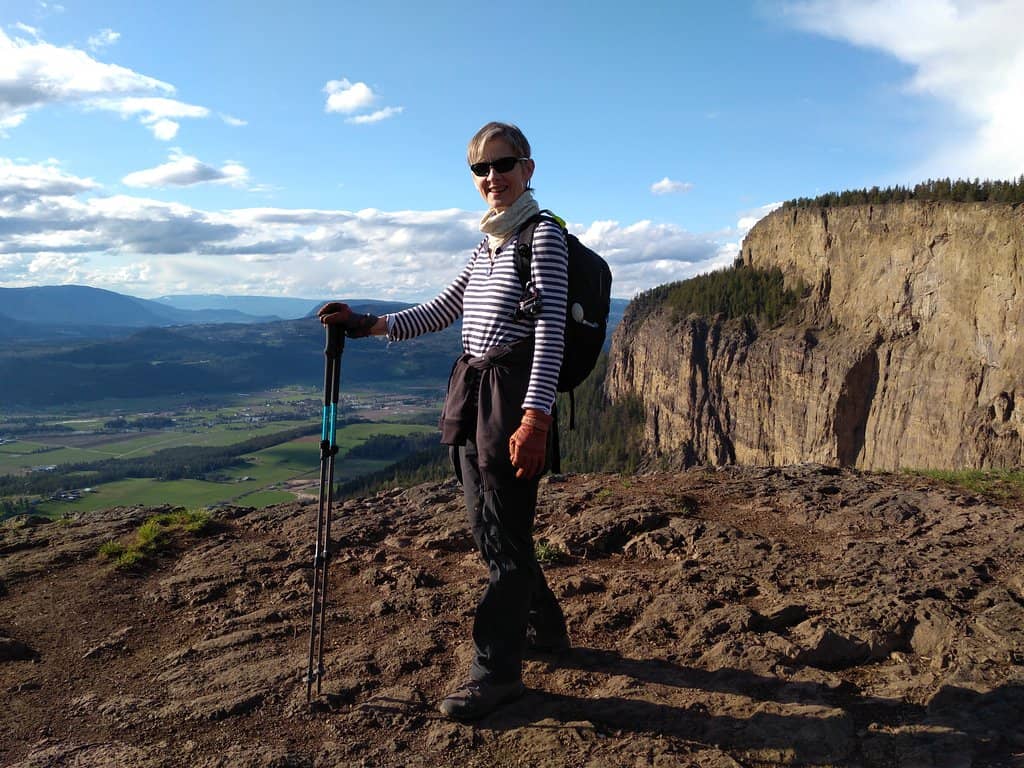 Shuswap Lookout