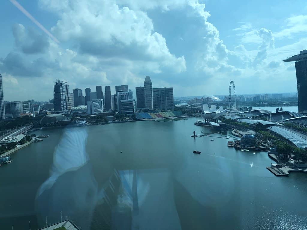 Cafe Culture & Relaxation