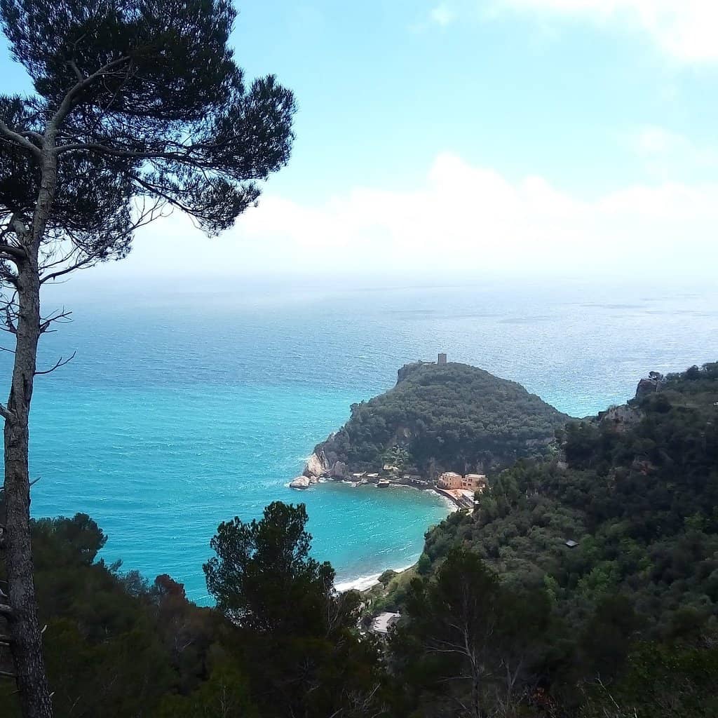 Panoramic Sea Vistas