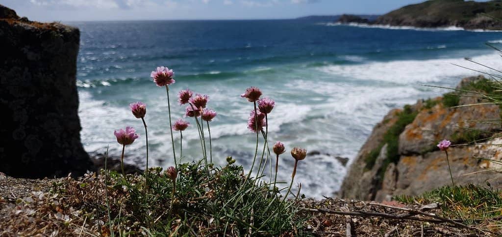 Panoramic Ocean Vistas