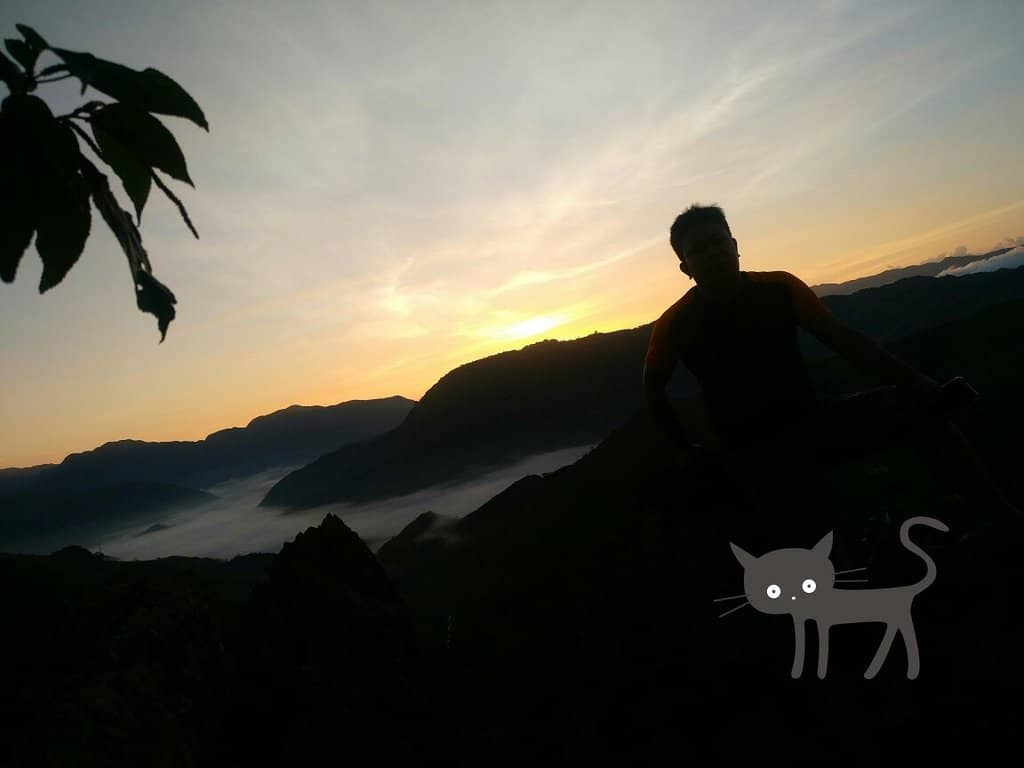 Vertical photo