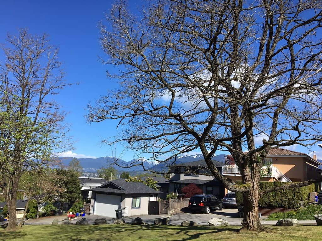 Inclusive Playground & Splash Pad