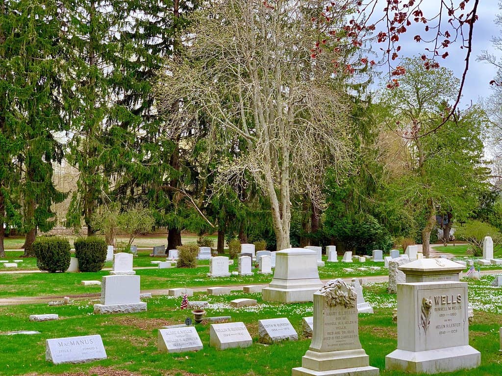Mature Landscaping