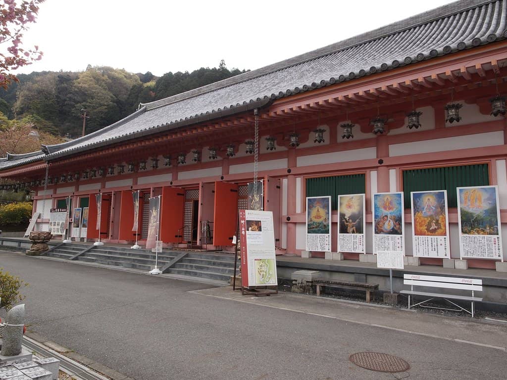 Cherry Blossom Spectacle