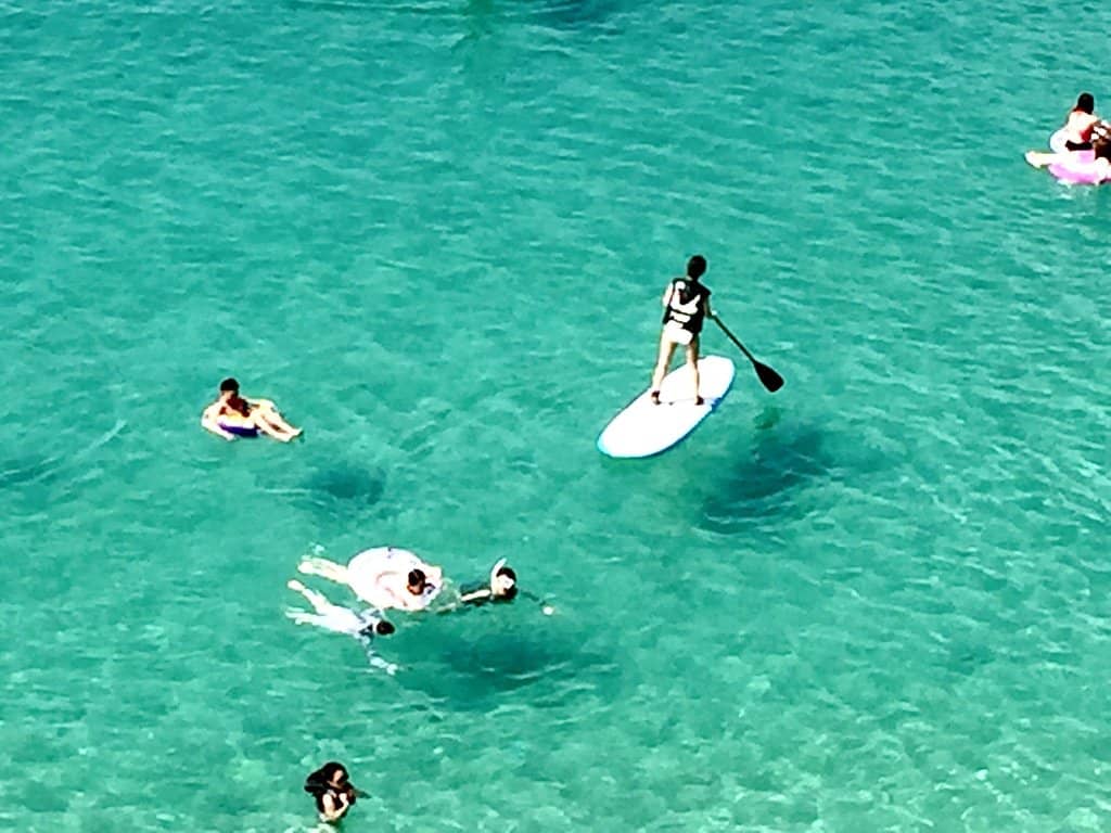 Charming Island Village