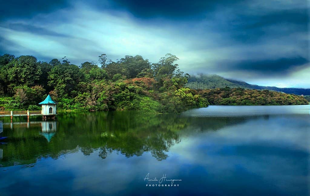 Boat Rides on Calm Waters