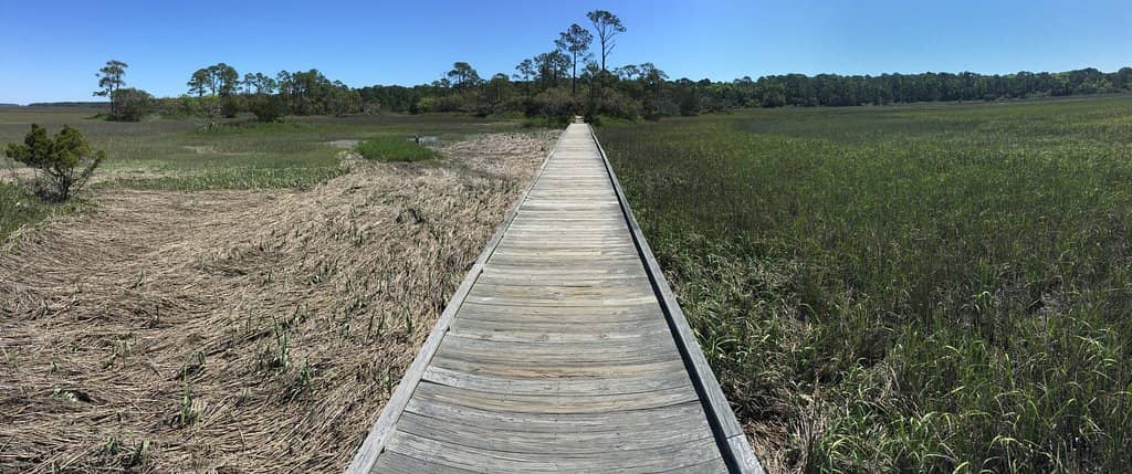Nature Center & Pier