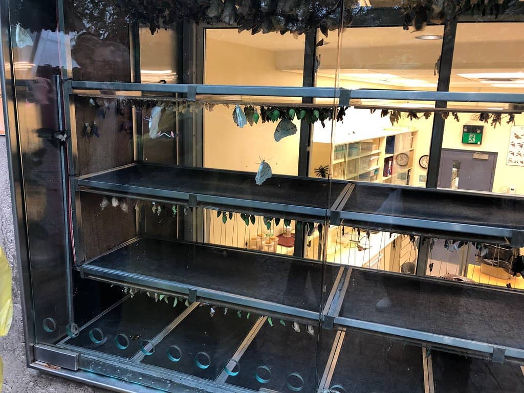 Peaceful Park Strolls