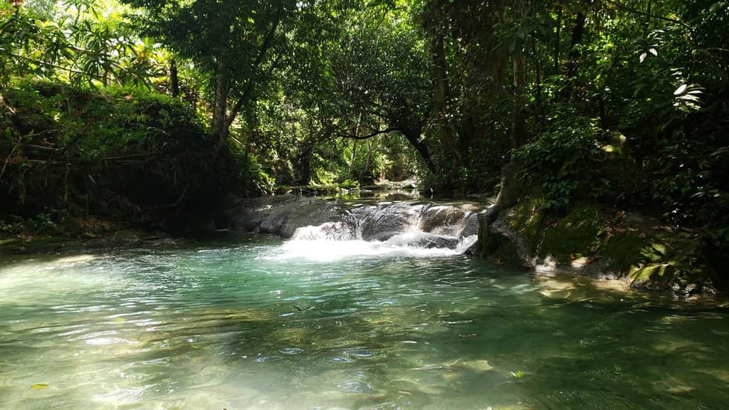 The River Hike