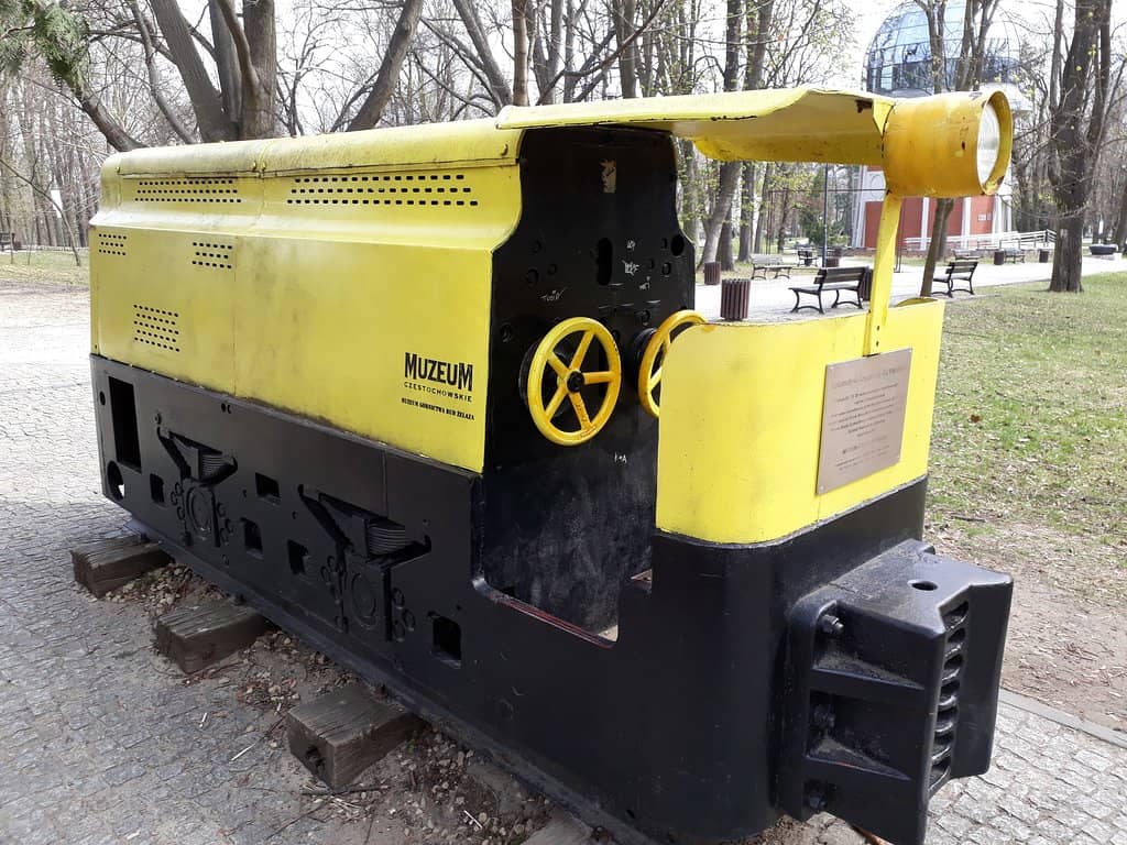 Ancient Sea Creature Fossils