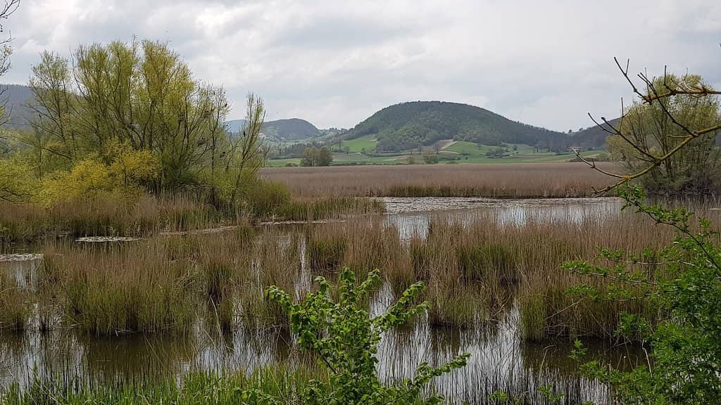 Bird Watching Stations