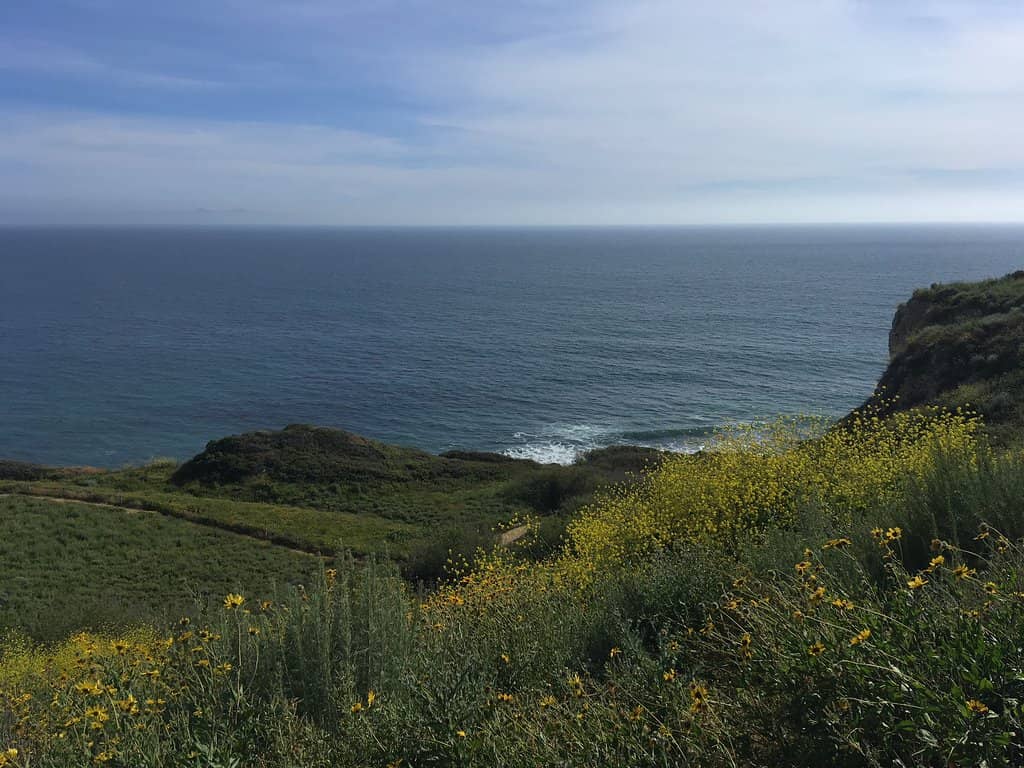 Secluded Beach Access