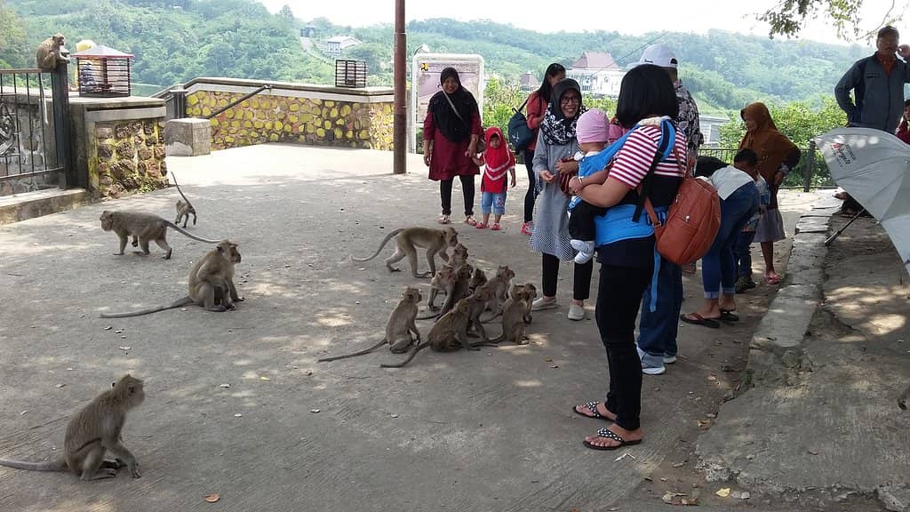 Jatibarang Reservoir Bridge