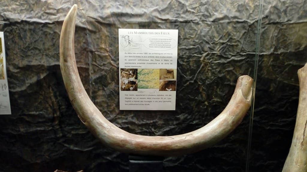 Mammoth Engravings